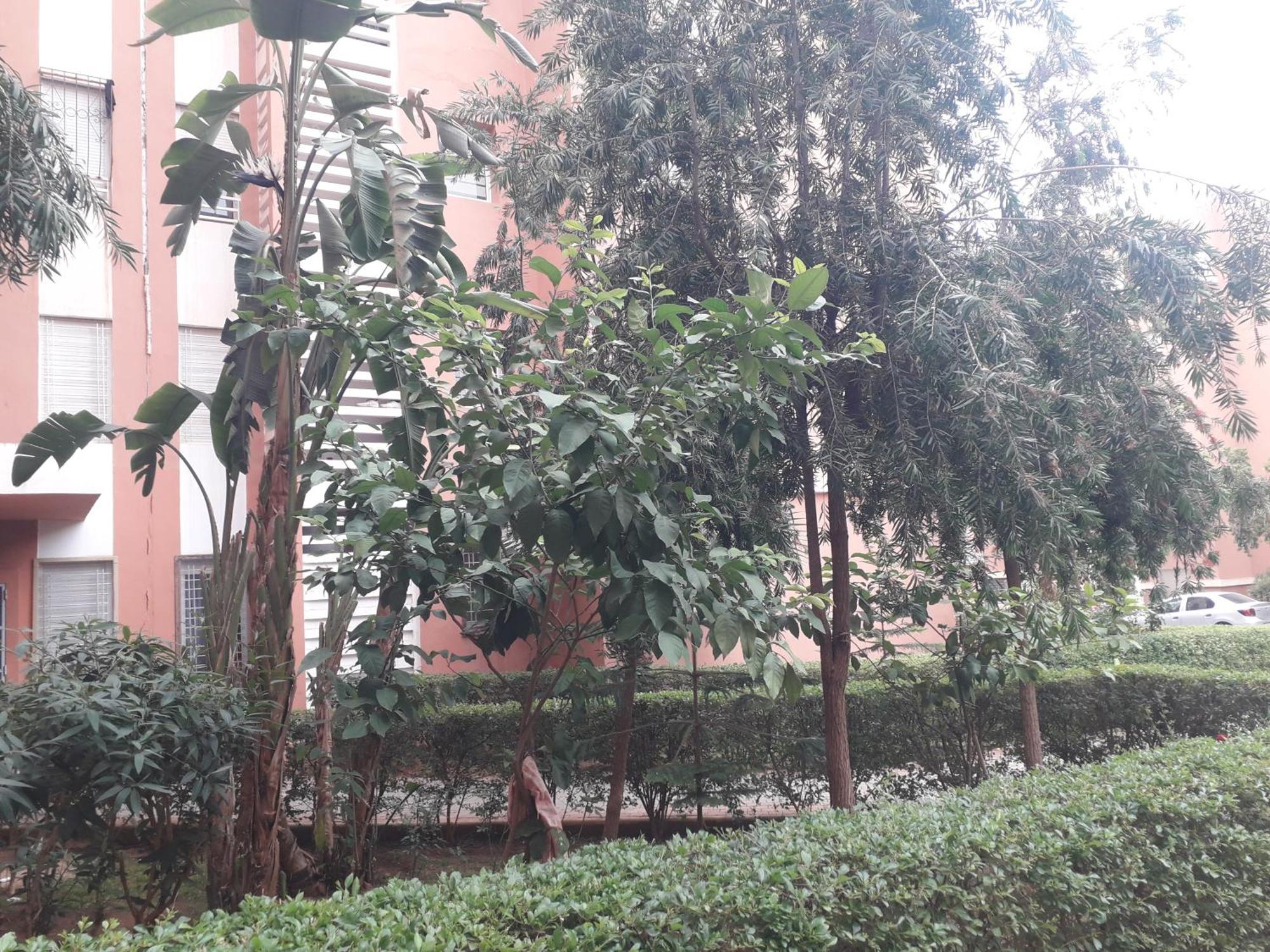 Apartamento ديار الاطلس بني ملال المغرب Beni Mellal Exterior foto